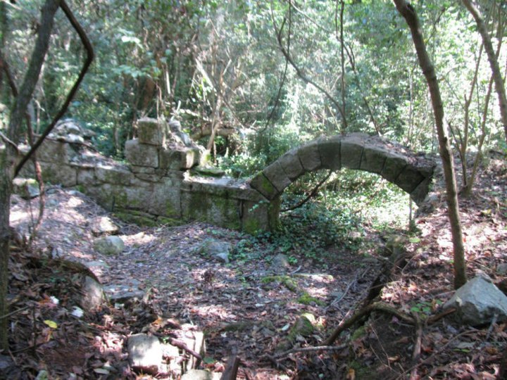 Nature Is Reclaiming This One Abandoned South Carolina Spot And It's Actually Amazing