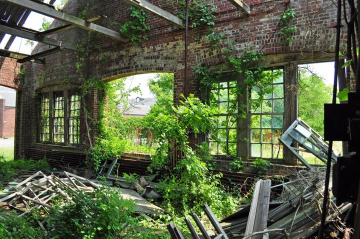 Nature Is Reclaiming This One Abandoned New Jersey Spot And It's Actually Amazing