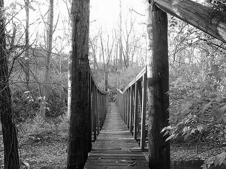 This Terrifying Swinging Bridge In Indiana Will Make Your Stomach Drop