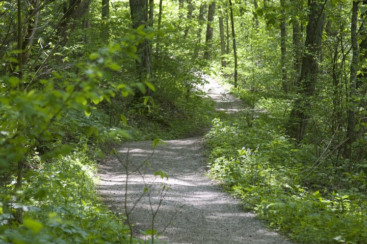 8 Incredible Hikes In Ohio That Anyone Can Do