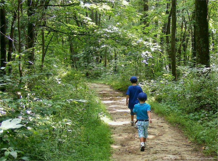 9 Incredible Hikes Under 5 Miles Everyone In Indiana Should Take