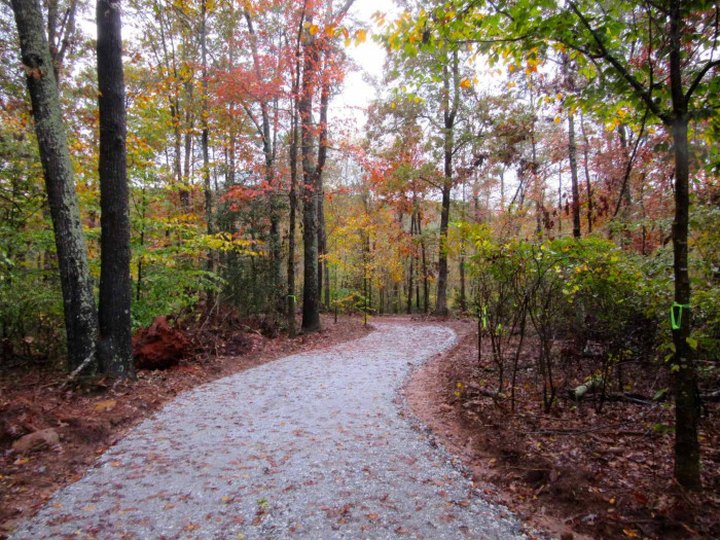 12 Incredible Hikes In South Carolina That Anyone Can Do