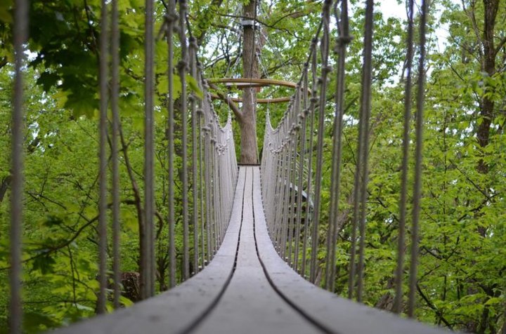 Walk Above A Gorgeous Forest With Lake Geneva Canopy Tours In Wisconsin