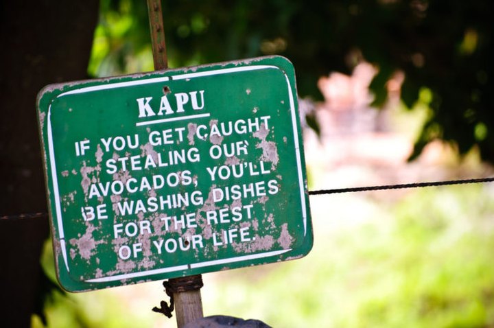 17 Words And Phrases Only People From Hawaii Will Understand