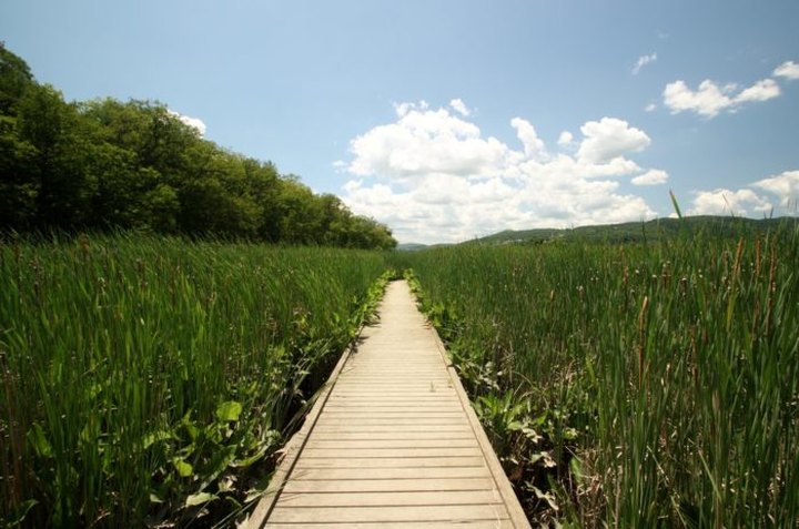 9 Boardwalks In New York That Will Make Your Summer Awesome