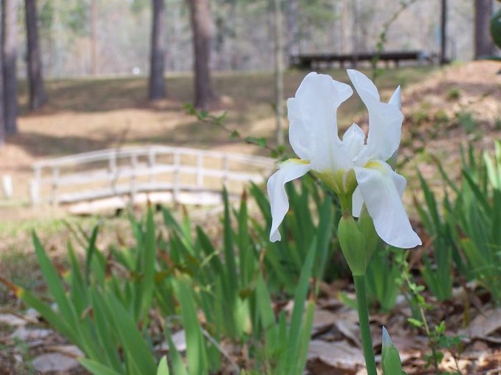 This Underrated State Park Might Just Be The Most Beautiful Place In Mississippi