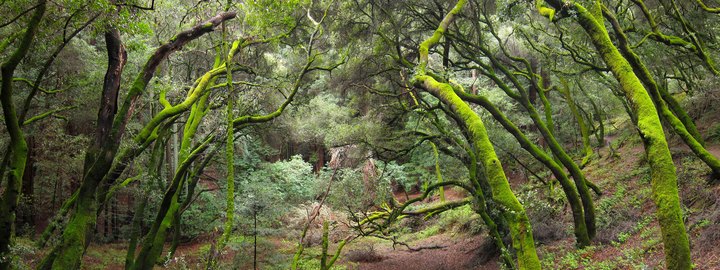 10 Incredible Hikes Under 5 Miles Everyone Around San Francisco Should Take