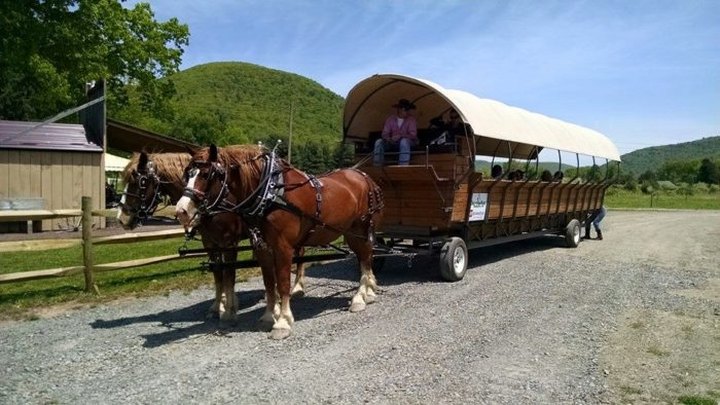 Ole' Covered Wagon Tours Will Show You Pennsylvania Like You Have Never Seen It Before