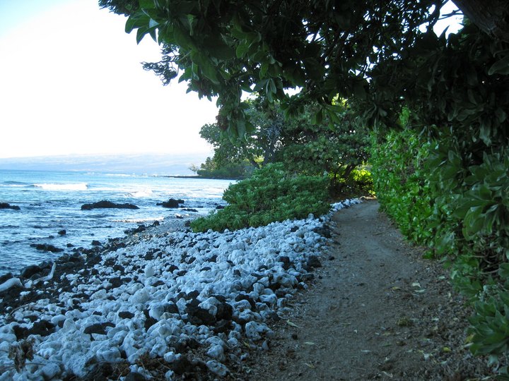 These 12 Gorgeous Waterfront Trails In Hawaii Are Perfect For A Summer Day