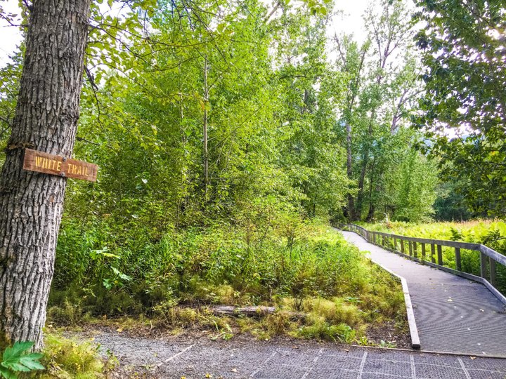 This Riverside Walk In Alaska Is Picture Perfect For A Late Summer's Day