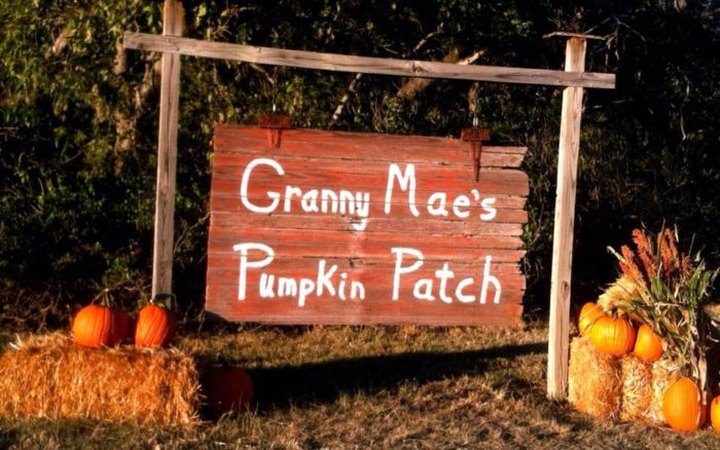 These 12 Charming Pumpkin Patches In Kansas Are Picture Perfect For A Fall Day