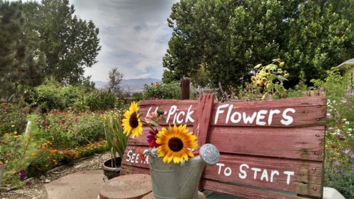 You'll Love These 11 Charming Farms Nestled In The Middle Of Nowhere In Colorado