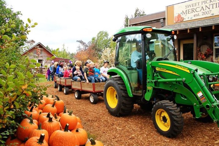 These 6 Charming Pumpkin Patches In Montana Are Picture Perfect For A Fall Day