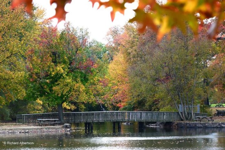 Take These 8 Hikes To See The Best Fall Foliage In Delaware