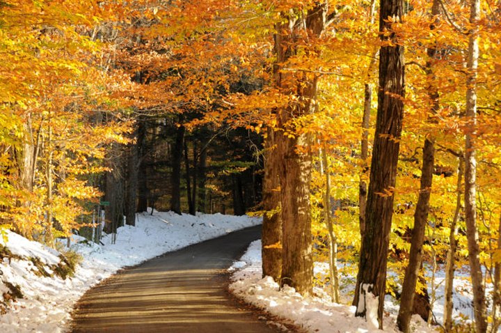 11 Country Roads In Vermont That Are Pure Bliss In The Fall