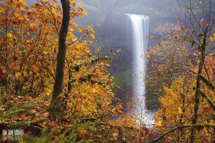 This Gorgeous State Park In Oregon Is Simply Perfect For A Fall Getaway