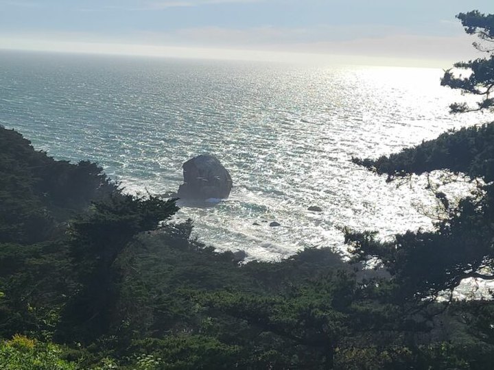 8 Easy Hikes To Add To Your Outdoor Bucket List In San Francisco