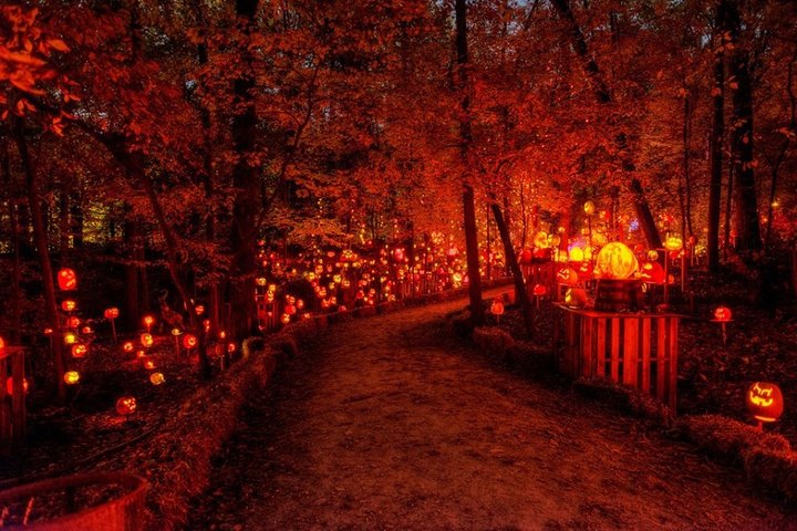 Visit This Kentucky Park For A Spectacular Light Show This October