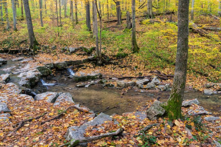 11 State Parks to Visit in Indiana Before Winter Sets In
