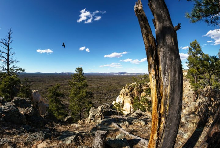 The Best New Mexico Hike You've Never Heard Of But Need To Take
