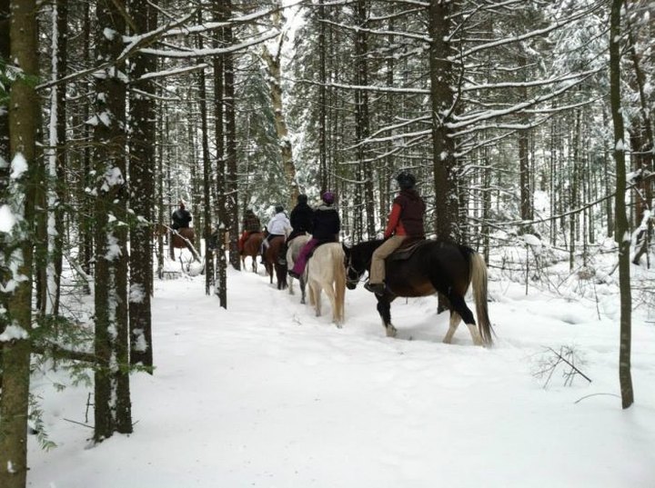 The Winter Horseback Riding Trail In New York That's Pure Magic