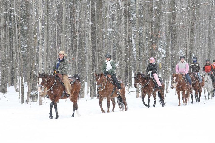 This Winter Horseback Riding Trail In Michigan Is Positively Magical