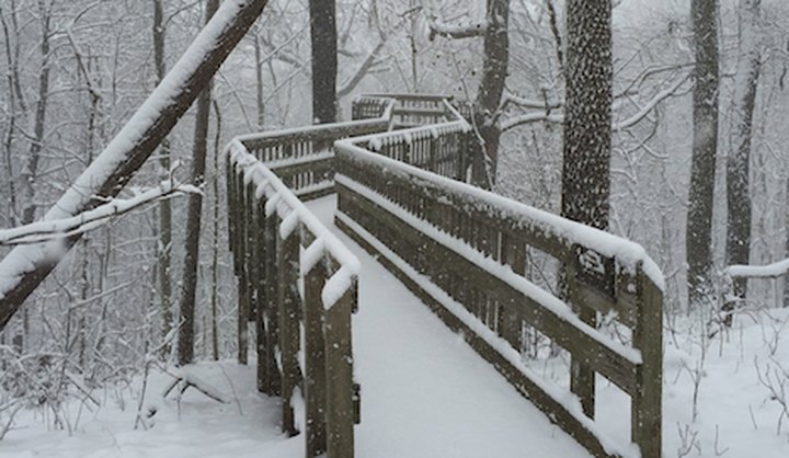 8 Picturesque Trails Around Pittsburgh That Are Perfect For Winter Hiking