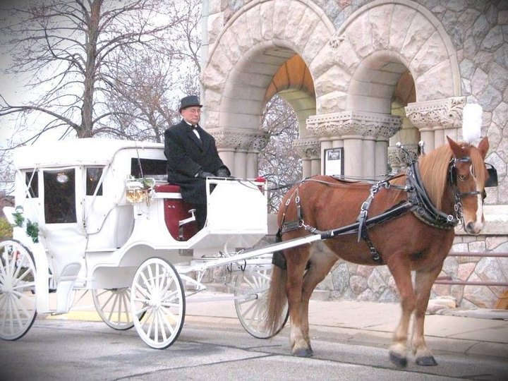 7 Magical Horse Drawn Carriage Rides to Take in Indiana this Winter