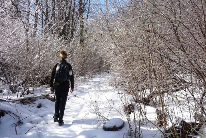 9 Picturesque Trails Around Washington DC That Are Perfect For Winter Hiking
