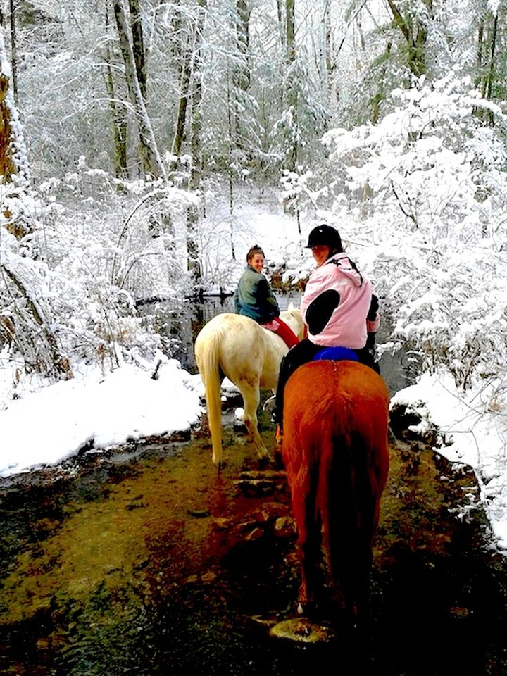 The Winter Horseback Riding Trail In Massachusetts That's Pure Magic