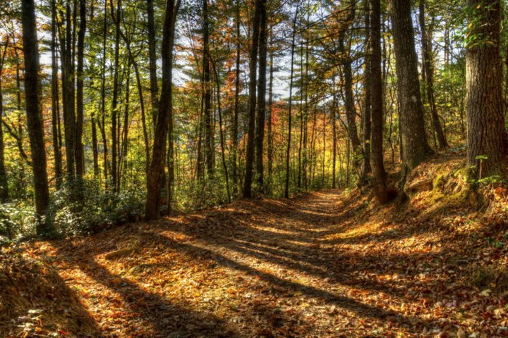 The Hidden Park That Will Make You Feel Like You've Discovered North Carolina's Best Kept Secret