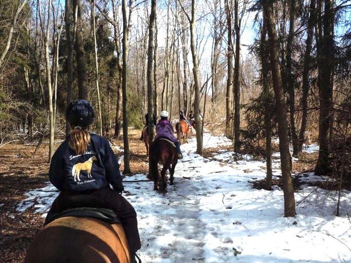 The Winter Horseback Riding Trail In Delaware That's Pure Magic