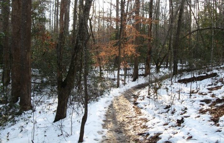 The Easy 1-Mile Winter Hike In South Carolina That's Positively Bewitching