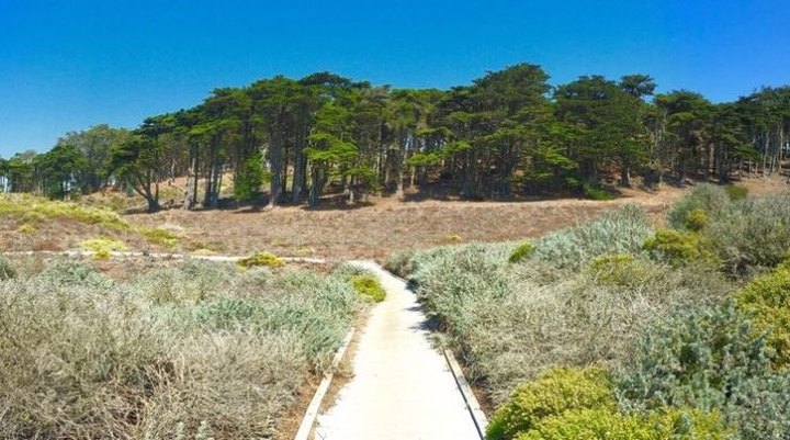 The Easy 1-Mile Winter Hike In San Francisco That's Positively Bewitching