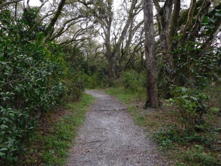 The Hidden Park That Will Make You Feel Like You've Discovered Florida's Best Kept Secret