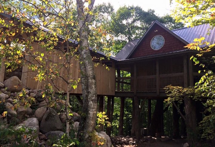 This Treehouse in Minnesota Will Give You An Unforgettable Experience