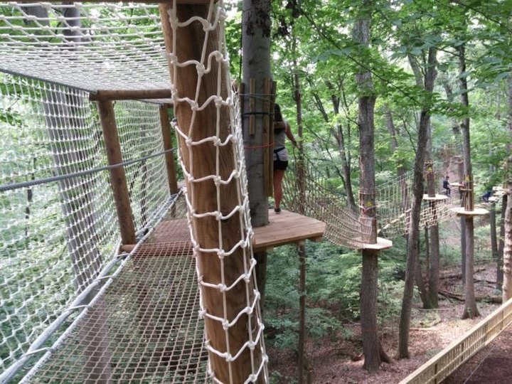 There's An Adventure Park Hiding In The Middle Of A Kentucky Forest And You Need To Visit