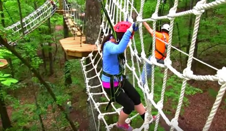 There's An Adventure Park Hiding In The Middle Of An Alabama Forest And You Need To Visit