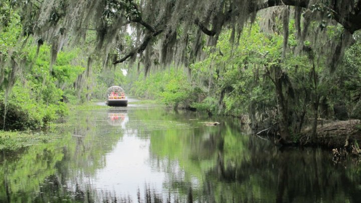 The Day Trip Of A Lifetime You Can Only Take In Louisiana