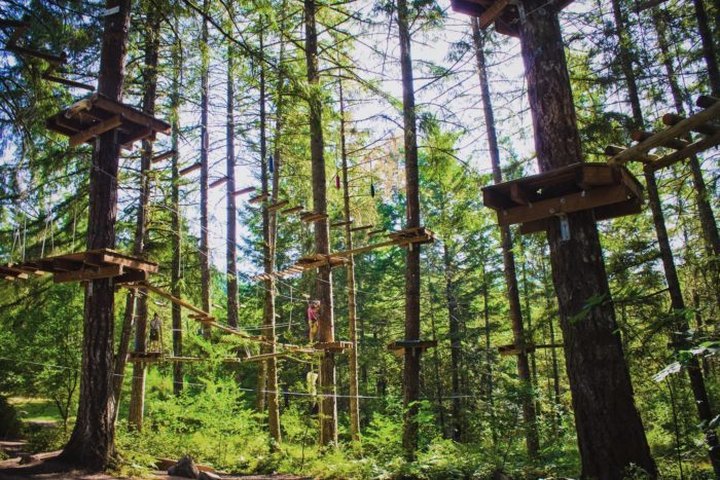 There’s An Adventure Park Hiding In The Middle Of An Oregon Forest And You Need To Visit