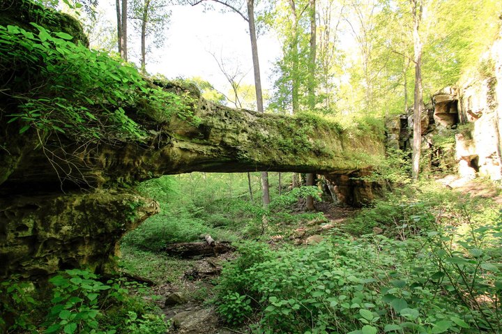 This Incredible Bridge Hidden In An Illinois Forest Isn't What You Expect