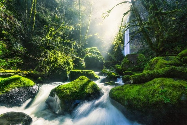 A Visit To This Stunning Hidden Waterfall In Oregon Will Change Your Life