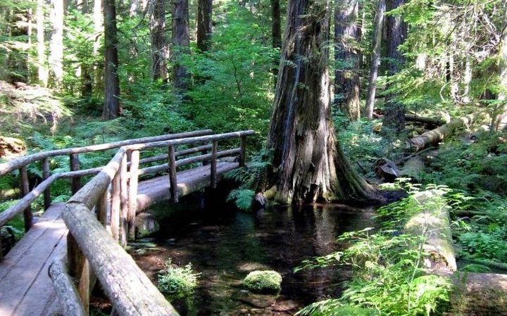 Hike Along This Award Winning Riverfront Trail For An Unforgettable Oregon Adventure