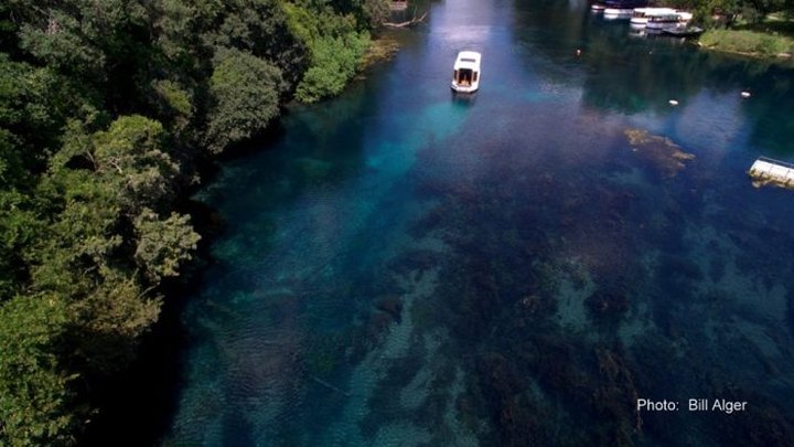 The Amazing Glass-Bottomed Boat Tour In Texas Will Bring Out The Adventurer In You