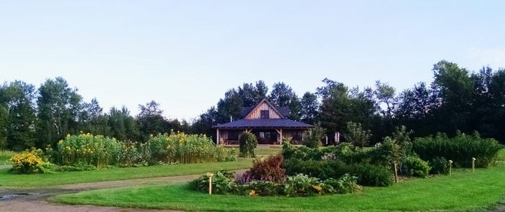 The Remote Winery In Minnesota That's Picture Perfect For A Day Trip