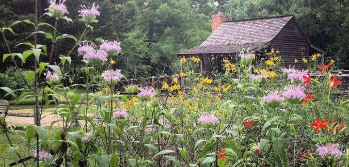 A Trip To Mississippi’s Neverending Wildflower Field Will Make Your Spring Complete