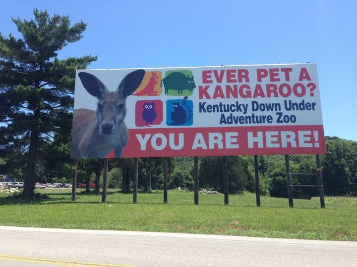 Not Many Know About This Exotic Animal Sanctuary Right Here in Kentucky
