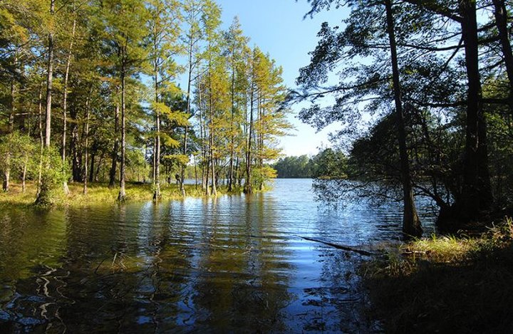 This Is The Newest State Park In North Carolina And It's Incredible