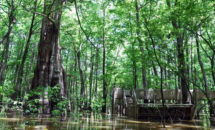 Most People Have No Idea This Incredible Natural Wonder Is Hiding Right Here In Mississippi
