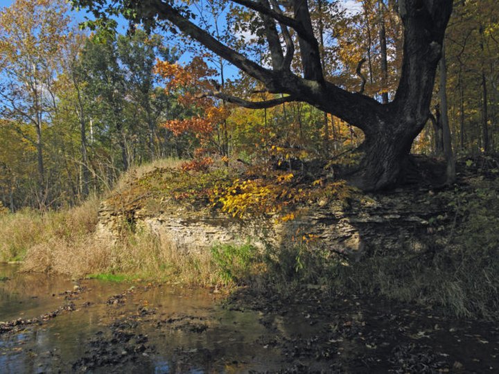 The Little Known Nature Preserve Hiding In Indiana That Is A True Gem